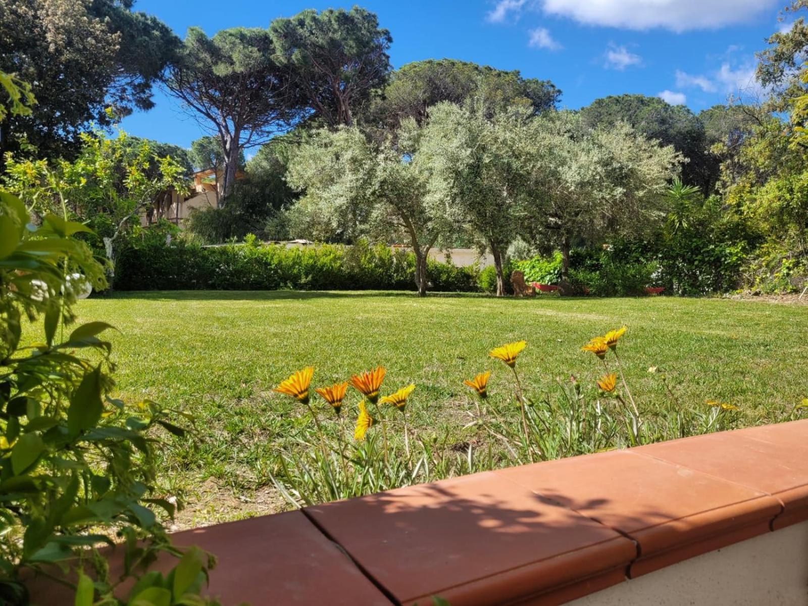 Villa La Conchiglia Rooms Cala Liberotto Bagian luar foto